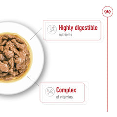 Royal Canin Size Health Nutrition Mini Adult (WET FOOD - Pouches) 12 x 85g