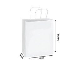 Paper Bag with Twisted Handle – White | Multiple Sizes Available