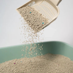 Thunder Paws Premium Hard Clumping Clay Cat Litter 5L