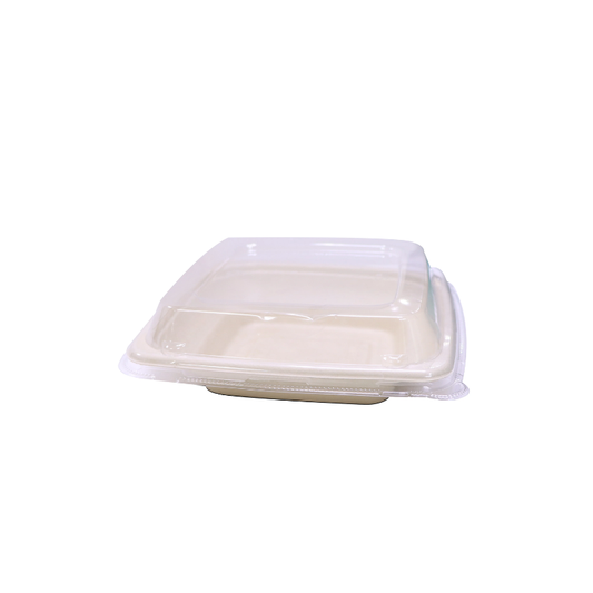 Bagasse Square Deep Containers with PET Lids