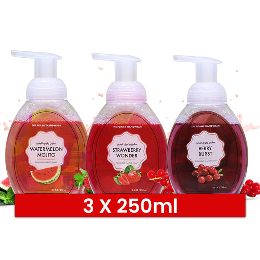 Hand Wash Liquid 250ML With Foaming Pump 3 in 1 Pack - Your One Stop Solution UAE
