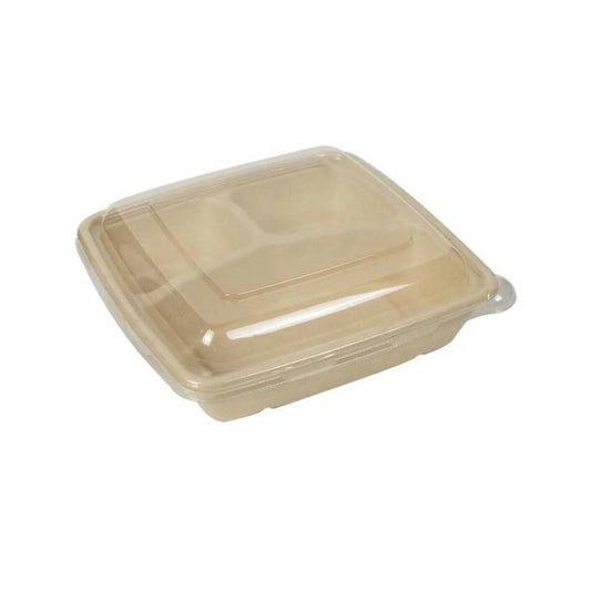 Bagasse Square Containers with PET & PP Lids – CB24 to CB48 | Eco Takeaway Boxes