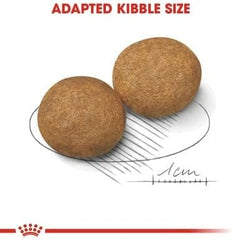 Royal Canin Medium Adult Dry Dog Food - 15KG