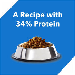 Drools Kitten Ocean Fish Dry Cat Food 1.2 kg