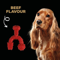 Tasty Bone Nylon Trio Dog Chew Toy, Durable & Indestructible Chew for Small Dogs, Beef Flavor