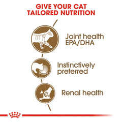 Royal Canin Feline Health Nutrition Ageing +12 Gravy Wet Cat Food