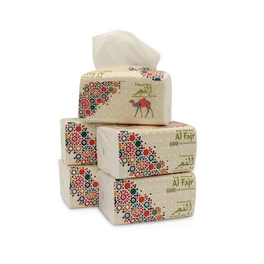 Al Fajr Nylon Tissue 300x2PLY (Total 600 Sheets) 5BXS PKT