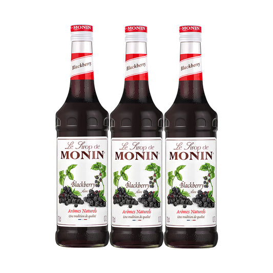 Monin Blackberry Syrup 1 Liter