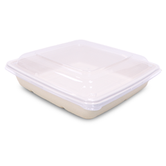 Bagasse Square Food Containers with PET, PP & Bagasse Lids – Eco-Friendly Packaging