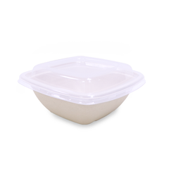 Bagasse Square Food Containers with PET, PP & Bagasse Lids – Eco-Friendly Packaging