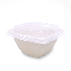 Bagasse Square Food Containers with PET, PP & Bagasse Lids – Eco-Friendly Packaging