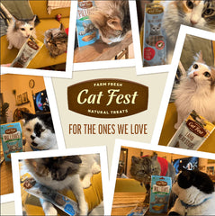 Cat Fest Meat Sticks Duck For Cat - 45g