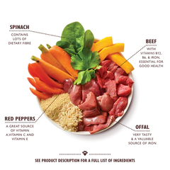 Lily's Kitchen Dog Beef Goulash (400g)