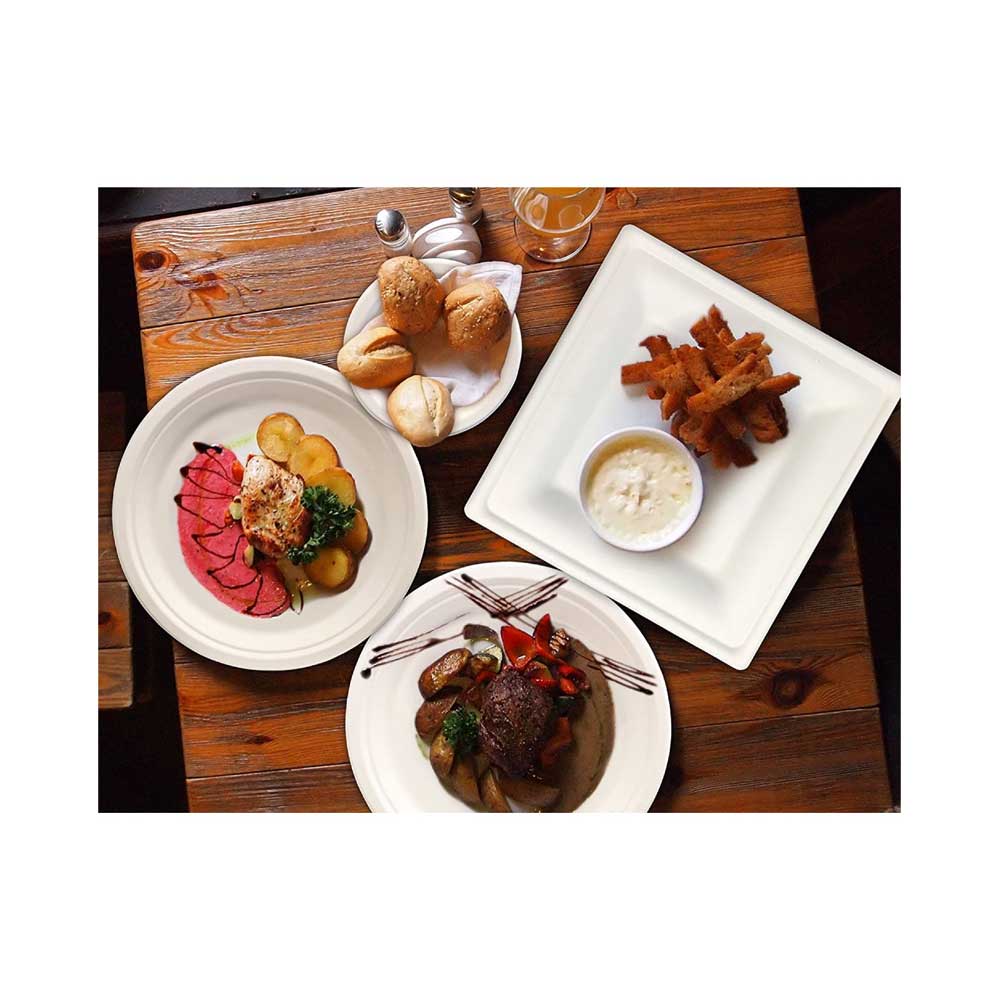 Bagasse Biodegradable Plate White 9 Inch 500 Pieces - Your One Stop Solution UAE