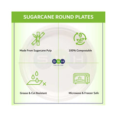 Bagasse Biodegradable Plate White 9 Inch 500 Pieces - Your One Stop Solution UAE