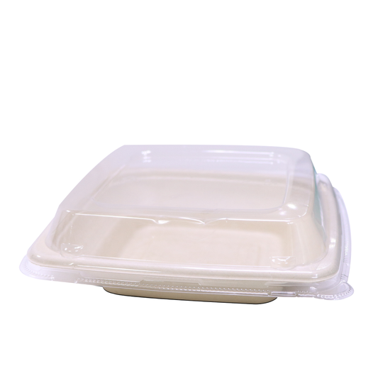 Bagasse Square Deep Containers with PET Lids – EG16 to EG42 | Eco Takeaway Boxes