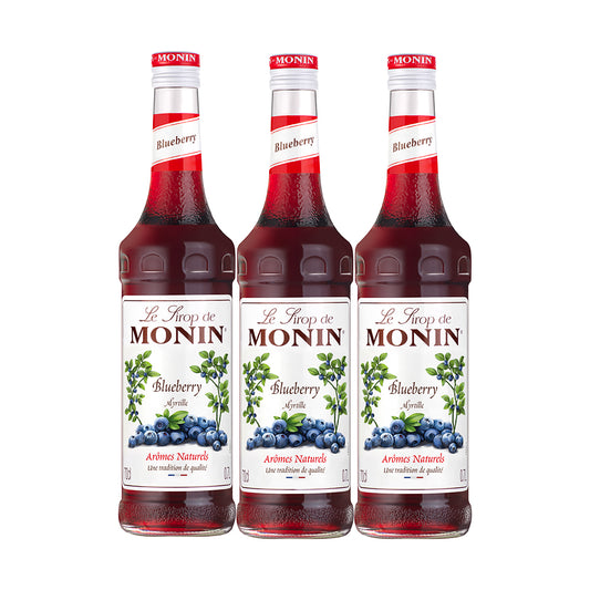 Monin Blue Berry Syrup 700ML