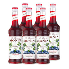 Monin Blue Berry Syrup 700ML