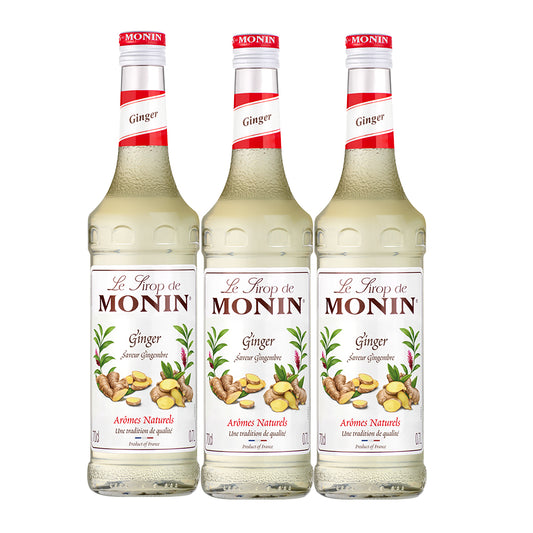 Monin Ginger Syrup 700ML
