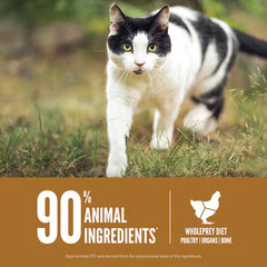 Orijen Original Protein-Rich Cat Dry Food