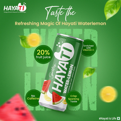 HAYTI Water-Lemon Fruit Sparkling (20% Fruit Juice) 24X250ML