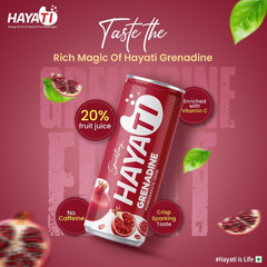 HAYATI Geradine Fruit Sparkling (20% Fruit Juice) 24X250ML