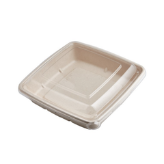 Bagasse Square Containers with Lids | Multiple Sizes | Bulk Eco-Friendly Takeaway