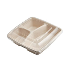 Bagasse Square Food Containers with PET, PP & Bagasse Lids | Multiple Sizes | Eco-Friendly Takeaway