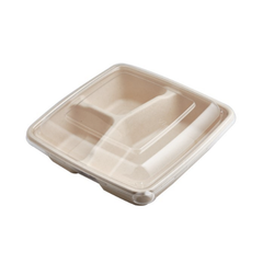 Bagasse Square Containers with Lids | Multiple Sizes | Bulk Eco-Friendly Takeaway