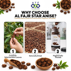 Al Fajr Star Anise 100g Whole Star Anise Spice for Cooking - SNH Packing