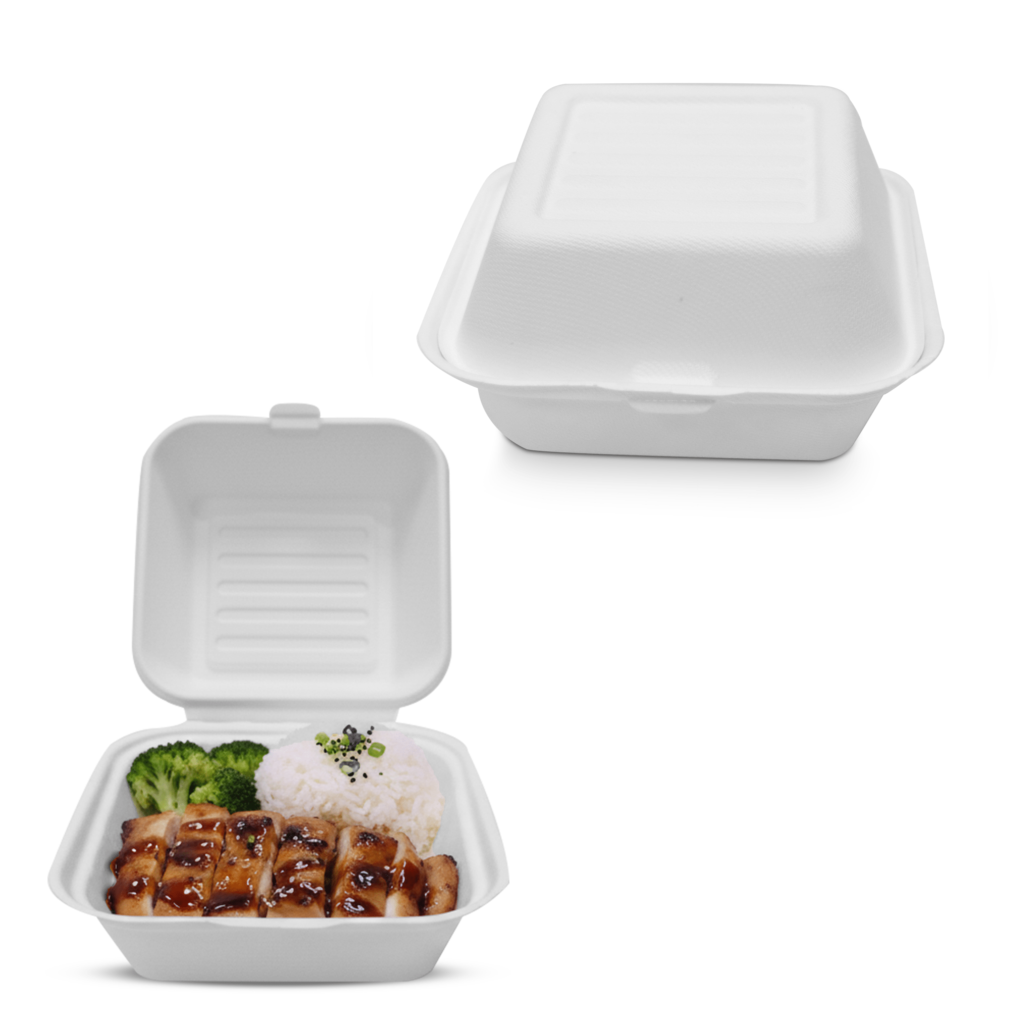 Bagasse Lunch Boxes – Eco - Friendly Biodegradable Disposable Boxes - SNH Packing