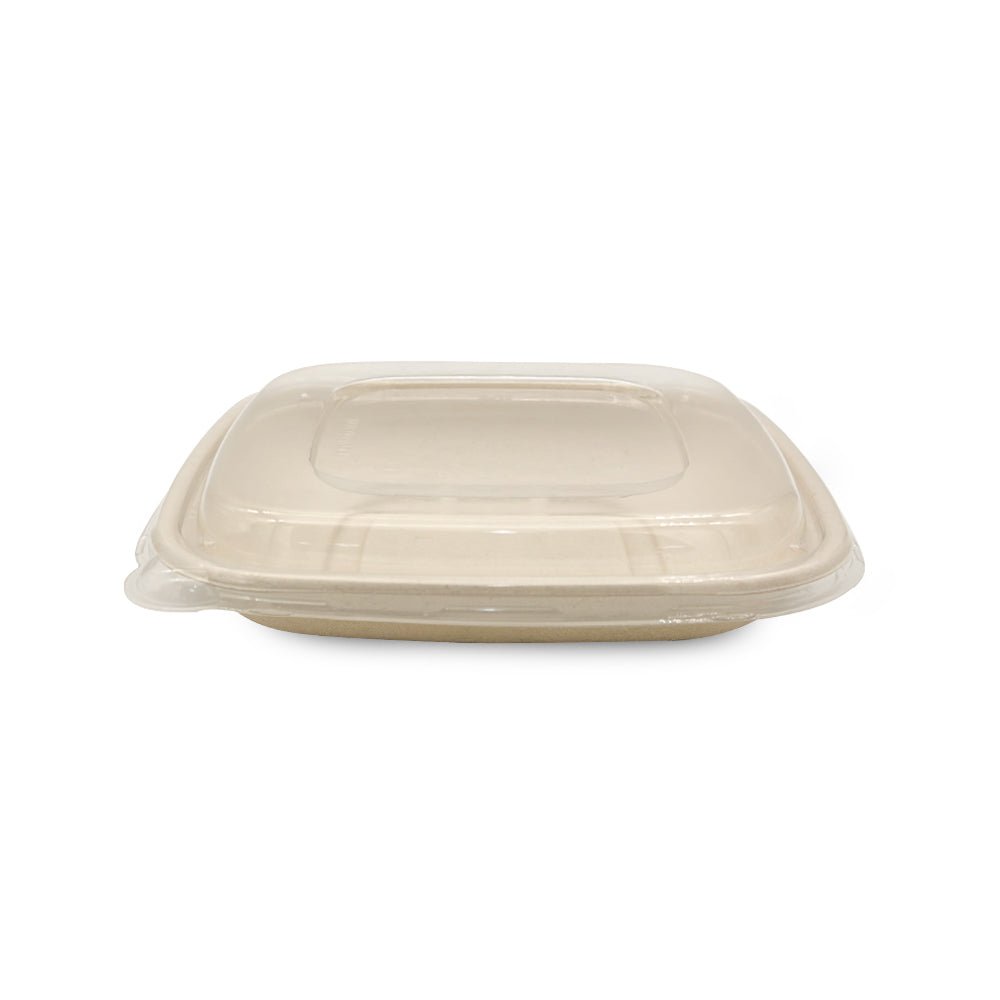 Bagasse Square Containers with PET & PP Lids | Eco Friendly Takeaway Boxes - SNH Packing