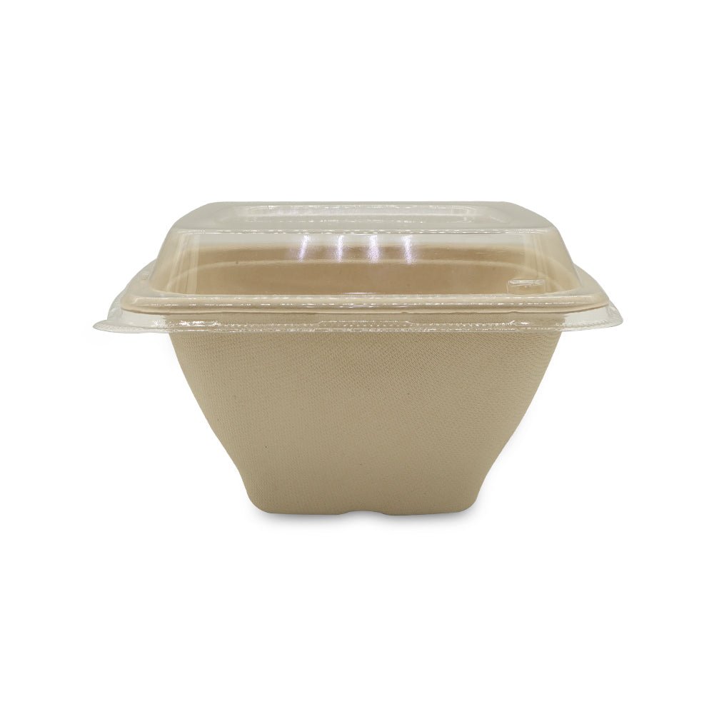 Bagasse Square Deep Containers with PET Lids 16oz to 42oz - SNH Packing