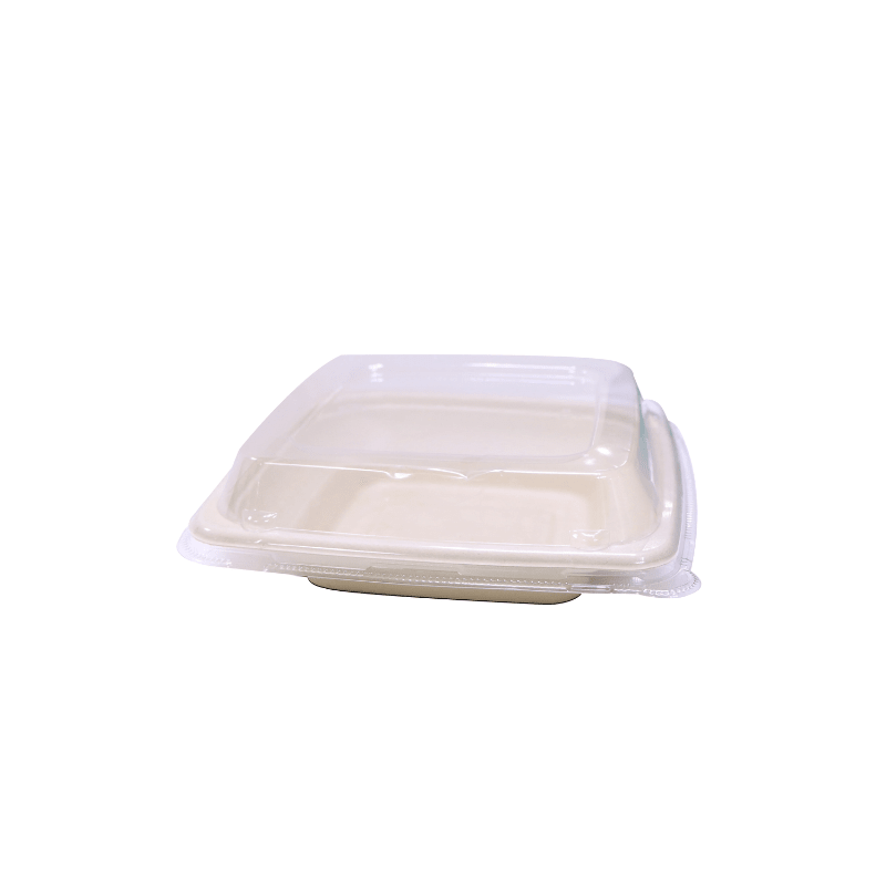 Bagasse Square Deep Containers with PET Lids - SNH Packing