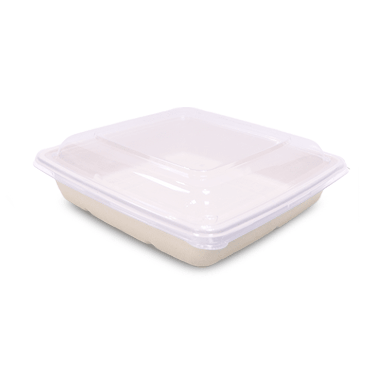Bagasse Square Food Containers with Lids | Eco - Friendly Packaging - SNH Packing