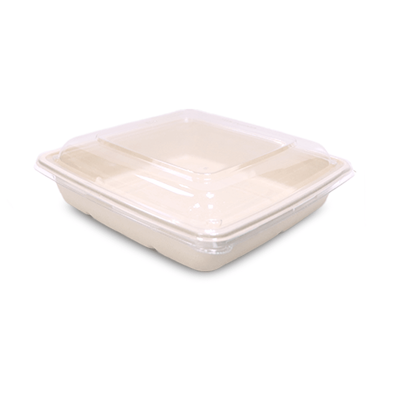 Bagasse Square Food Containers with Lids | Eco - Friendly Packaging - SNH Packing