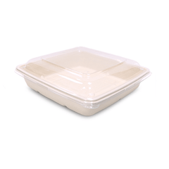 Bagasse Square Food Containers with Lids | Eco - Friendly Packaging - SNH Packing