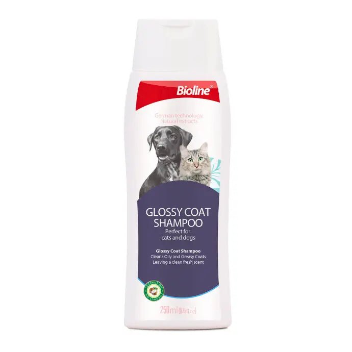 Biolineglossy Coat Shampoo - Dogs And Cats 250ml - SNH Packing
