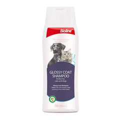 Biolineglossy Coat Shampoo - Dogs And Cats 250ml - SNH Packing