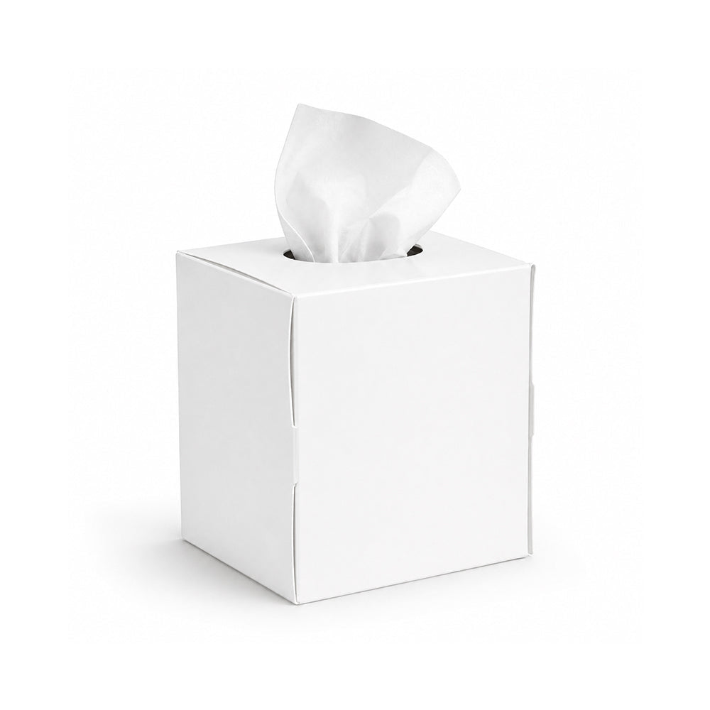 Boutique Facial Tissue 2 Ply Soft 6 Boxes Multiple Colors - SNH Packing