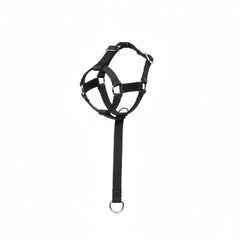 Camon Adjustable Nylon Dog Muzzle with Mesh - Medium - SNH Packing