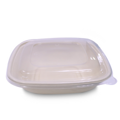 Bagasse Square Containers with PET & PP Lids – CB24 to CB48 | 300PCS | Eco Takeaway Boxes