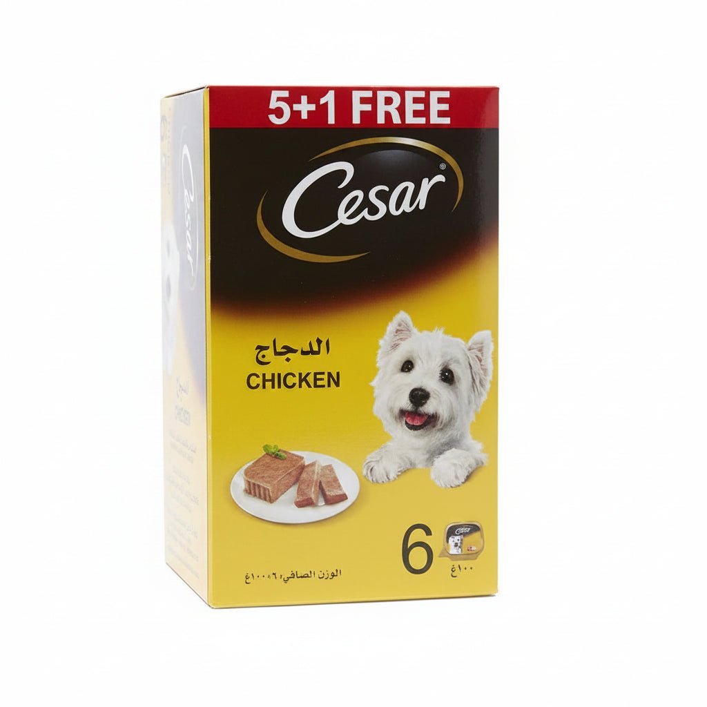 Cesar Beef 5+1 FREE Promo Pack Wet Dog Food - 6X100G - SNH Packing