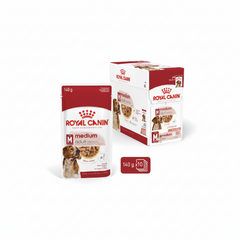 Royal Canin Wet Food Chunks in Gravy for Medium Breed Adult Dogs (12 Months - 10 Years & 11-25kg)
