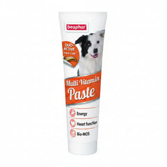 Duo Active Paste Multivitamin Dog 100 g