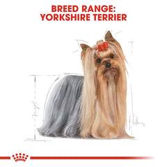 Royal Canin Breed Health Nutrition Yorkshire Adult (Wet Food - Pouches) 12 x 85 g