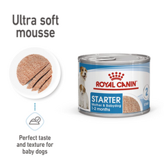 Royal Canine Health Nutrition Starter Mousse (Wet Food - Cans) 12 x 195 g