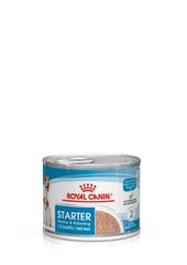 Royal Canine Health Nutrition Starter Mousse (Wet Food - Cans) 12 x 195 g