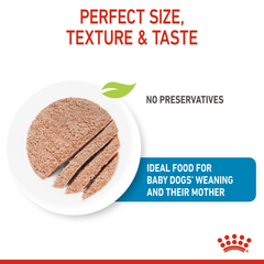 Royal Canine Health Nutrition Starter Mousse (Wet Food - Cans) 12 x 195 g