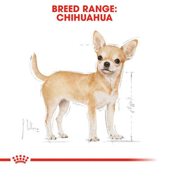 Royal Canin Breed Health Nutrition Chihuahua Adult (Wet Food - Pouches) 12 x 85